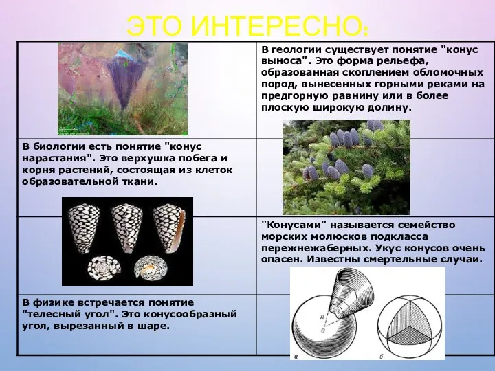 ЭТО ИНТЕРЕСНО: