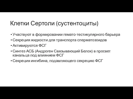 Клетки Сертоли (сустентоциты) Участвуют в формировании гемато-тестикулярного барьера Секреция жидкости