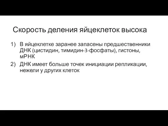 Скорость деления яйцеклеток высока В яйцеклетке заранее запасены предшественники ДНК