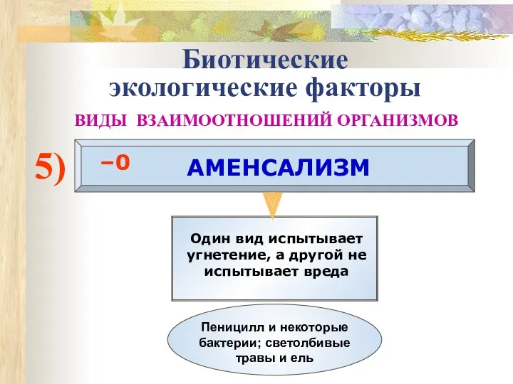 Биотические экологические факторы ВИДЫ ВЗАИМООТНОШЕНИЙ ОРГАНИЗМОВ 5) АМЕНСАЛИЗМ –0 Один