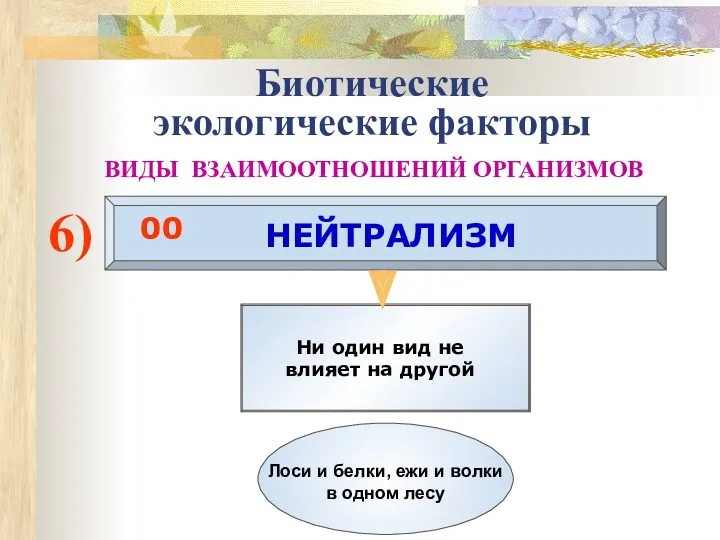 Биотические экологические факторы ВИДЫ ВЗАИМООТНОШЕНИЙ ОРГАНИЗМОВ 6) НЕЙТРАЛИЗМ 00 Ни