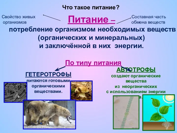 Питание – потребление организмом необходимых веществ (органических и минеральных) и