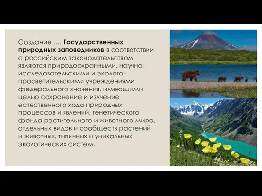 Создание …. Государственных природных заповедников в соответствии с российским законодательством