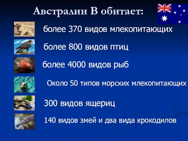 Австралии В обитает: более 370 видов млекопитающих более 800 видов