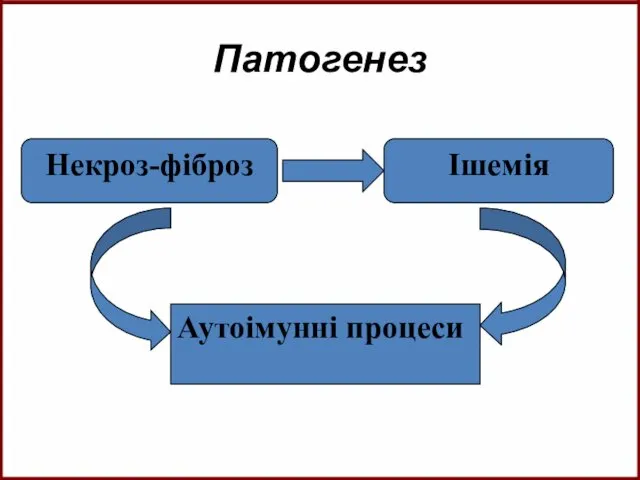 Патогенез Некроз-фіброз Ішемія Аутоімунні процеси