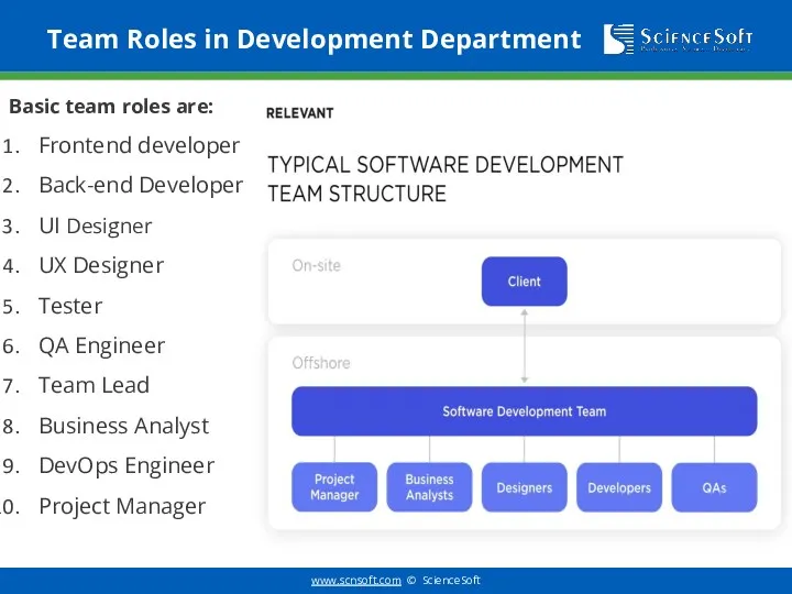 Team Roles in Development Department Basic team roles are: Frontend