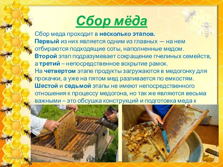 Сбор мёда Сбор меда проходит в несколько этапов. Первый из
