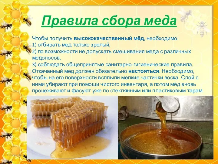 Правила сбора меда Чтобы получить высококачественный мёд, необходимо: 1) отбирать