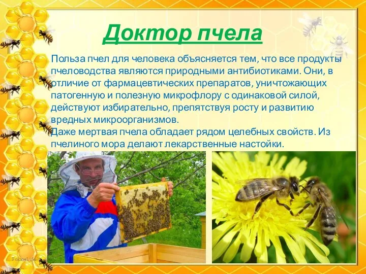Доктор пчела Польза пчел для человека объясняется тем, что все