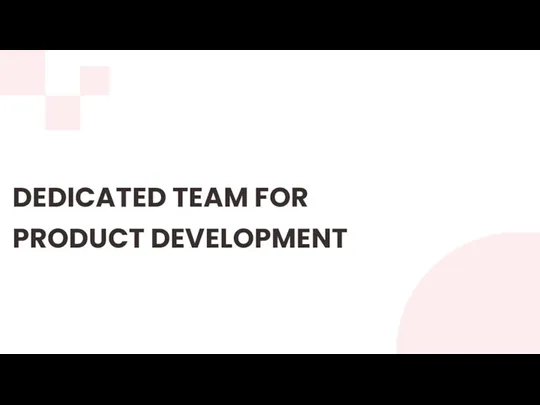 DEDICATED TEAM FOR PRODUCT DEVELOPMENT