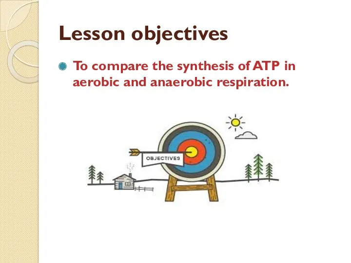 Lesson objectives To compare the synthesis of ATP in aerobic and anaerobic respiration.