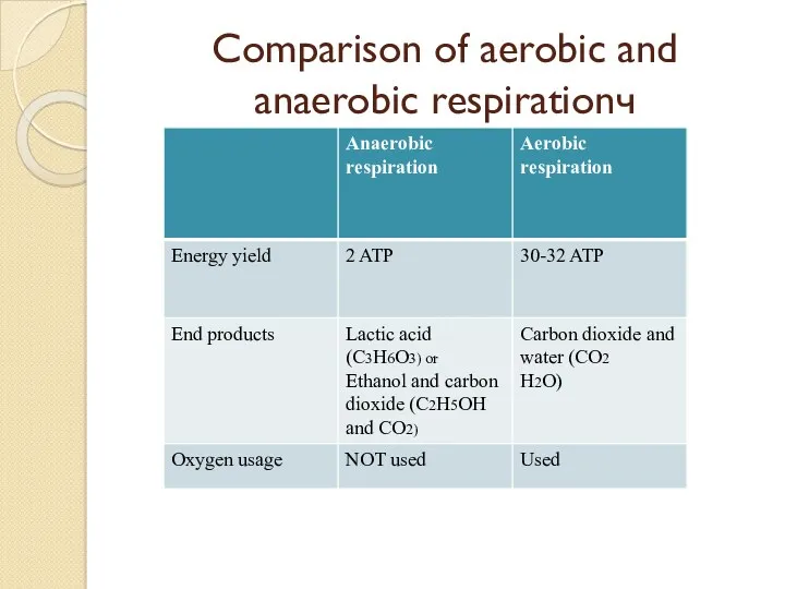 Comparison of aerobic and anaerobic respirationч