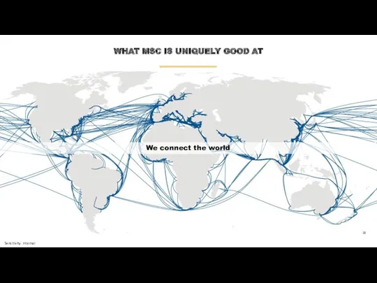 WHAT MSC IS UNIQUELY GOOD AT We connect the world