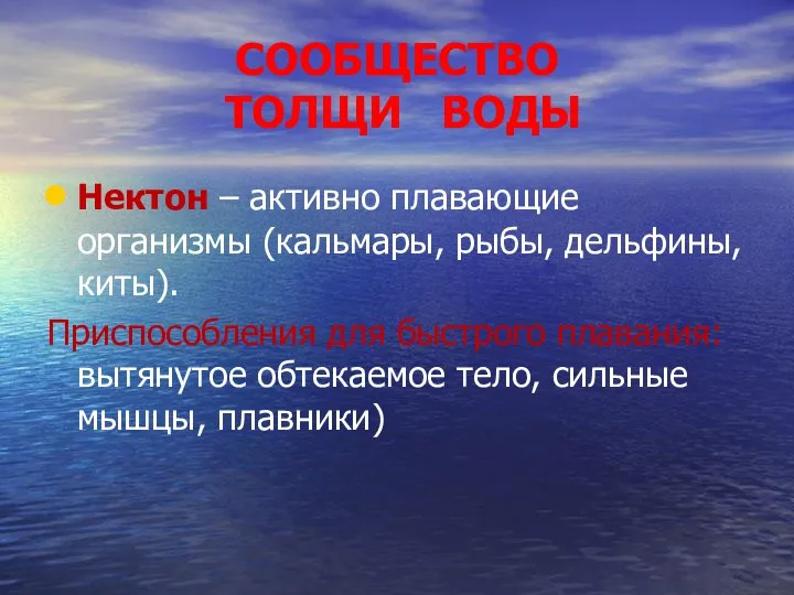 СООБЩЕСТВО ТОЛЩИ ВОДЫ Нектон – активно плавающие организмы (кальмары, рыбы,