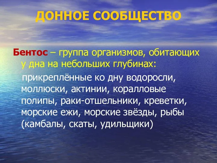 ДОННОЕ СООБЩЕСТВО Бентос – группа организмов, обитающих у дна на