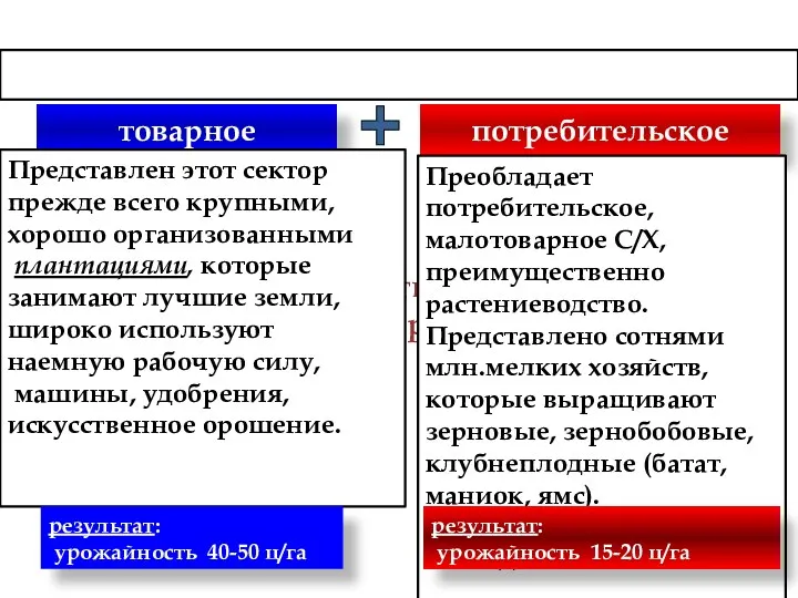 Сельское хозяйство в развивающихся странах товарное потребительское Представлен этот сектор