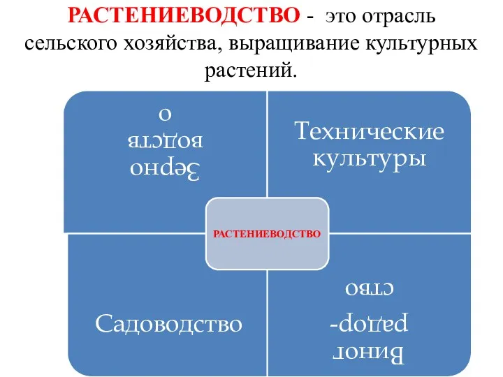 РАСТЕНИЕВОДСТВО - это отрасль сельского хозяйства, выращивание культурных растений.