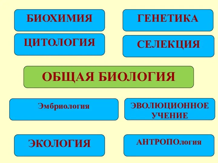 ОБЩАЯ БИОЛОГИЯ ЭКОЛОГИЯ АНТРОПОлогия ЭВОЛЮЦИОННОЕ УЧЕНИЕ ГЕНЕТИКА БИОХИМИЯ СЕЛЕКЦИЯ Эмбриология ЦИТОЛОГИЯ