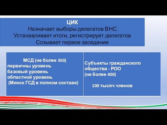 ЦИК Назначает выборы делегатов ВНС Устанавливает итоги, регистрирует делегатов Созывает первое заседание