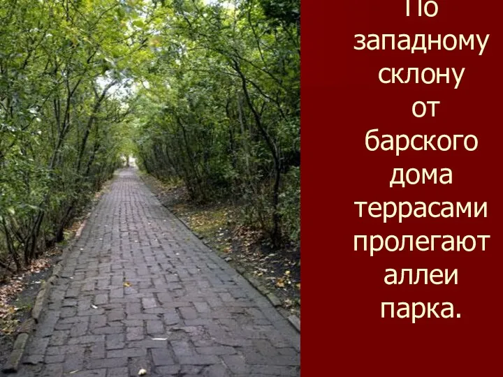 По западному склону от барского дома террасами пролегают аллеи парка.