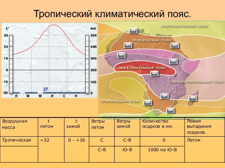 Тропический климатический пояс.