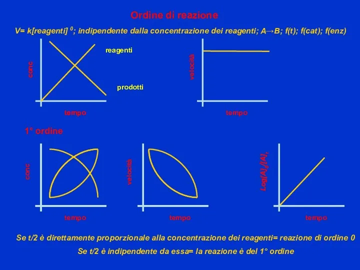 Ordine di reazione conc tempo prodotti reagenti V= k[reagenti] 0;