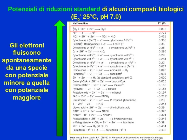 Potenziali di riduzioni standard di alcuni composti biologici (E0’ 25°C,