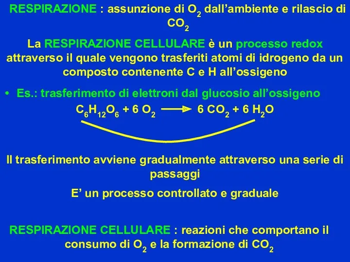 RESPIRAZIONE : assunzione di O2 dall’ambiente e rilascio di CO2