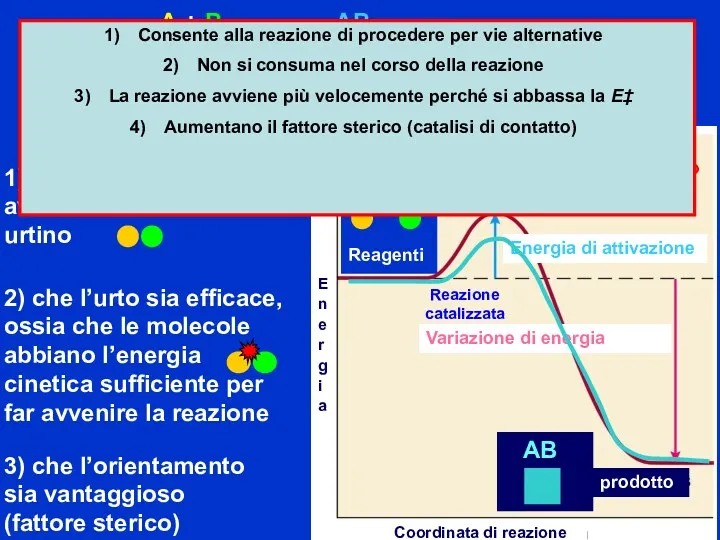 Reazione catalizzata Consente alla reazione di procedere per vie alternative