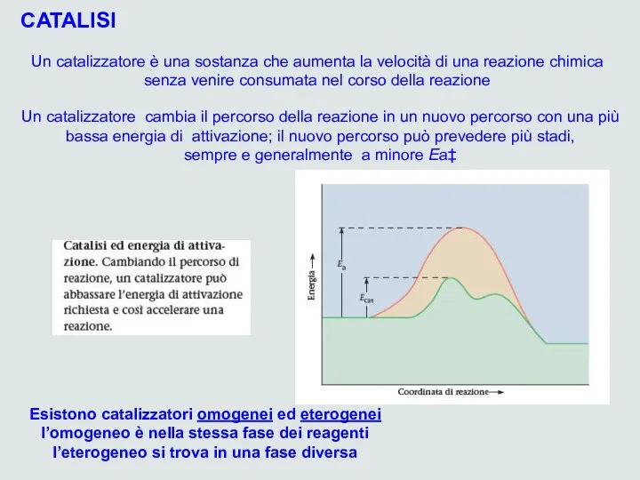 Un catalizzatore è una sostanza che aumenta la velocità di