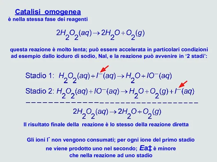 Catalisi omogenea è nella stessa fase dei reagenti questa reazione