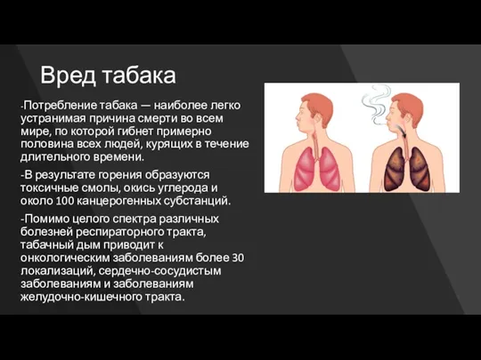 -Потребление табака — наиболее легко устранимая причина смерти во всем