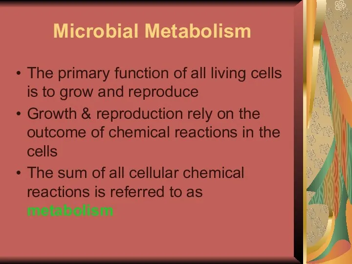 Microbial Metabolism The primary function of all living cells is