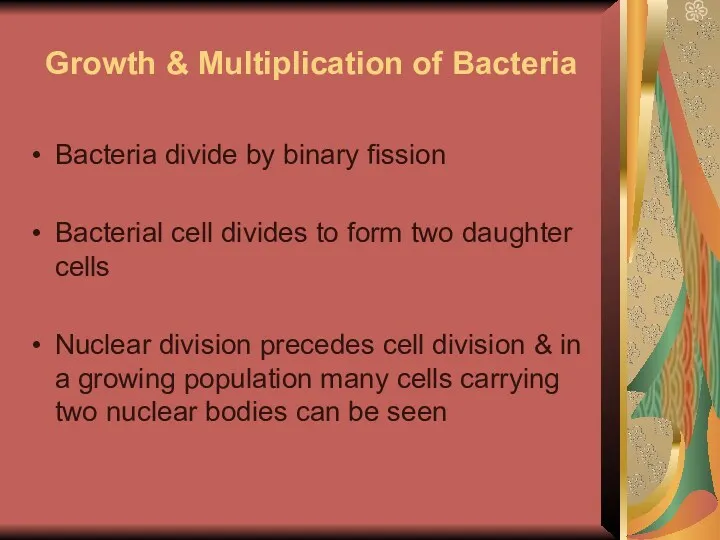 Growth & Multiplication of Bacteria Bacteria divide by binary fission