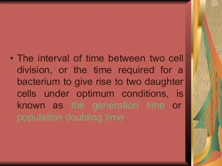 The interval of time between two cell division, or the