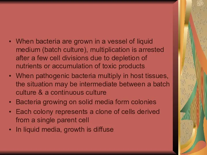 When bacteria are grown in a vessel of liquid medium