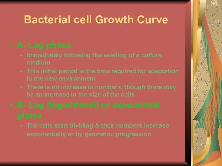 Bacterial cell Growth Curve A- Lag phase Immediately following the