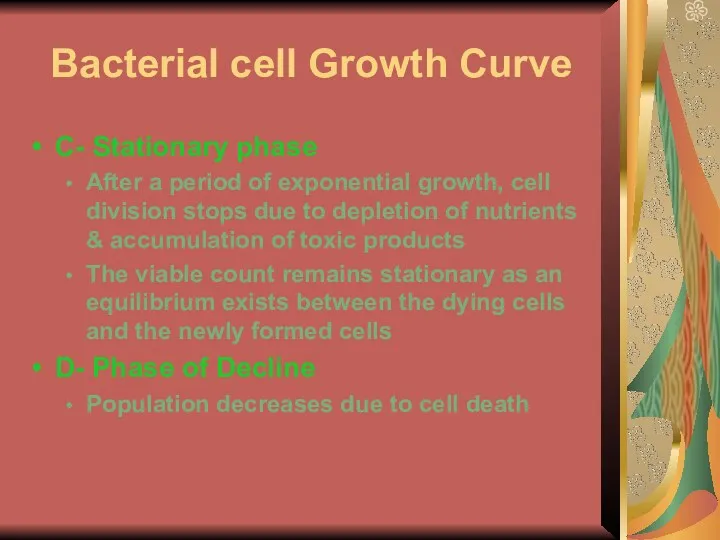 Bacterial cell Growth Curve C- Stationary phase After a period