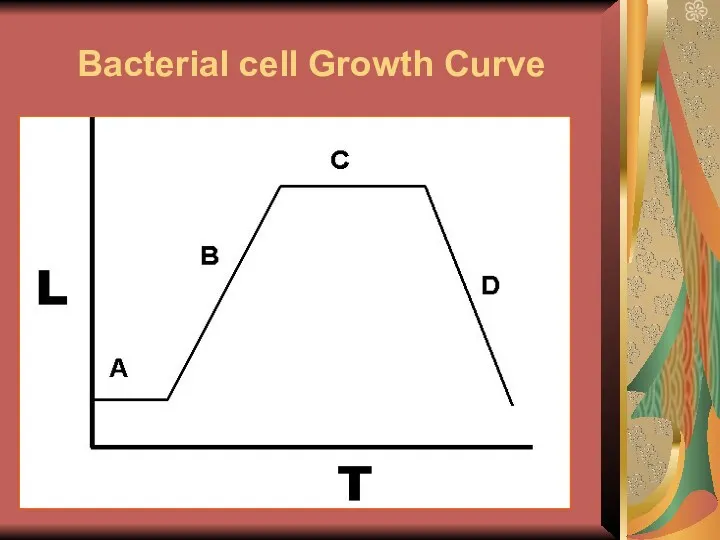 Bacterial cell Growth Curve