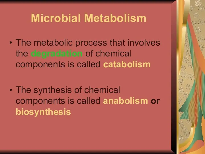 Microbial Metabolism The metabolic process that involves the degradation of