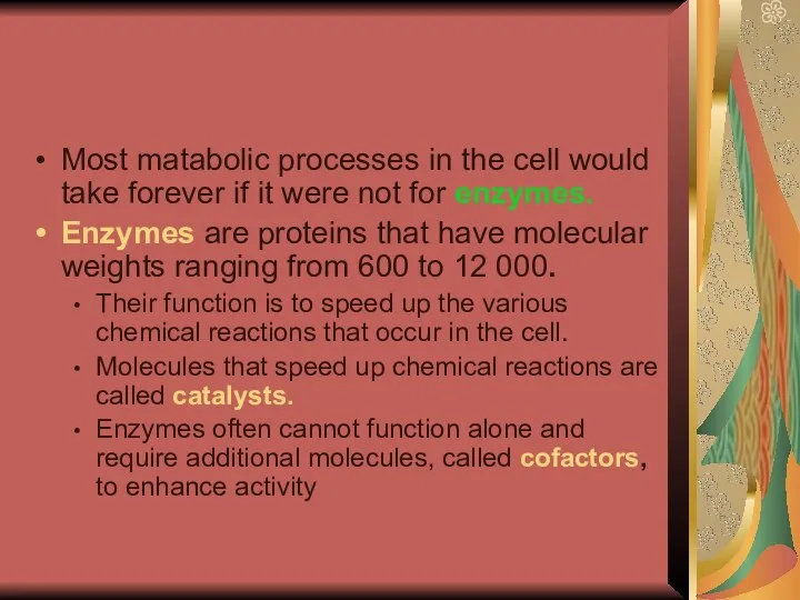 Most matabolic processes in the cell would take forever if