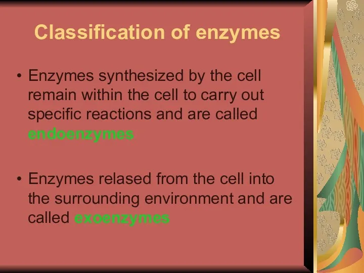 Classification of enzymes Enzymes synthesized by the cell remain within