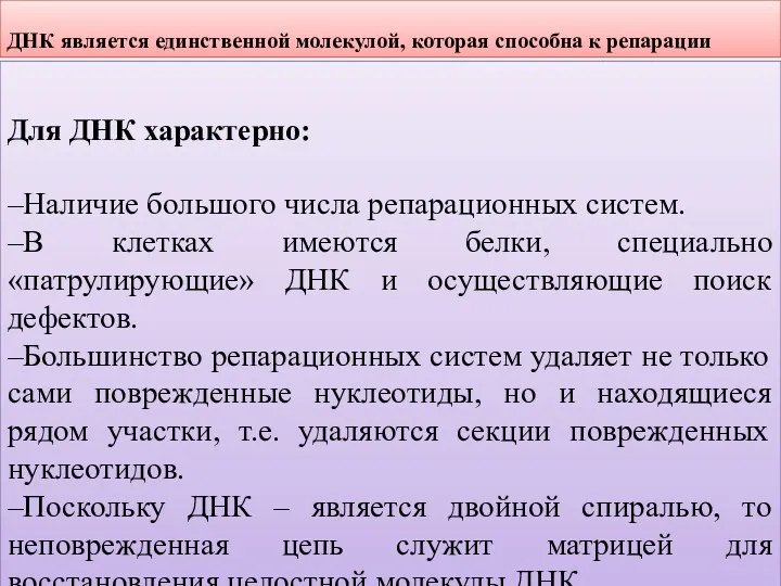 ДНК является единственной молекулой, которая способна к репарации Для ДНК