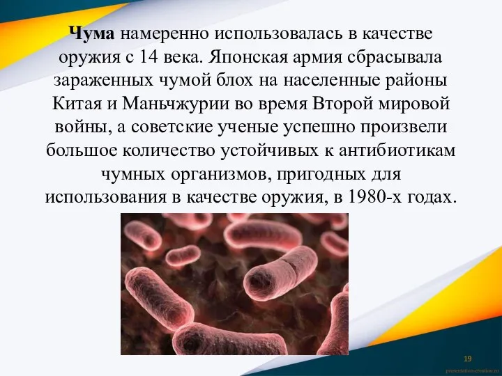 Чума намеренно использовалась в качестве оружия с 14 века. Японская