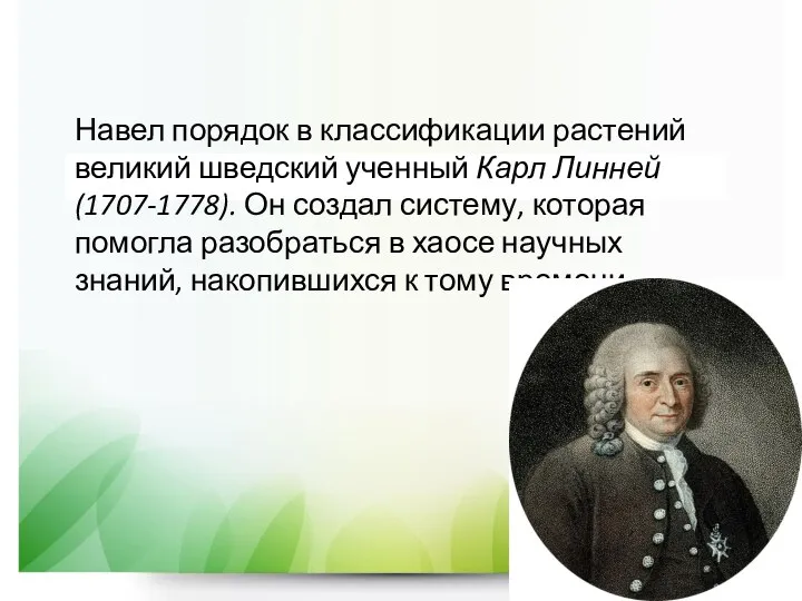 Навел порядок в классификации растений великий шведский ученный Карл Линней