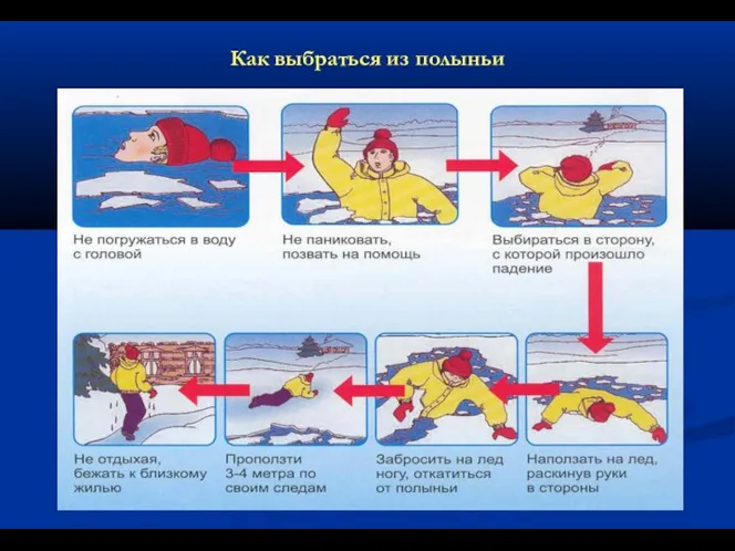 Как выбраться из полыньи