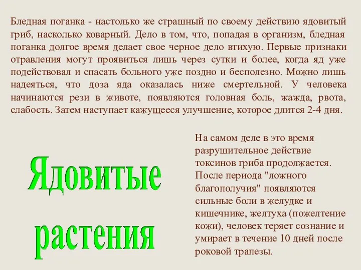 Бледная поганка - настолько же страшный по своему действию ядовитый