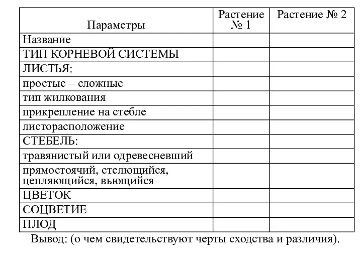 ХОД РАБОТЫ. Вывод: (о чем свидетельствуют черты сходства и различия).