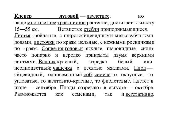 Клевер луговой — двулетнее, но чаще многолетнее травянистое растение, достигает