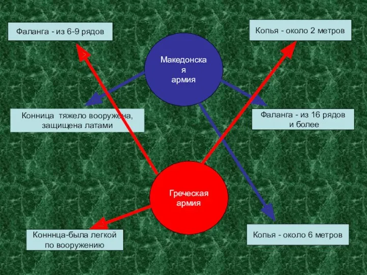 Греческая армия Македонская армия Фаланга - из 6-9 рядов Копья